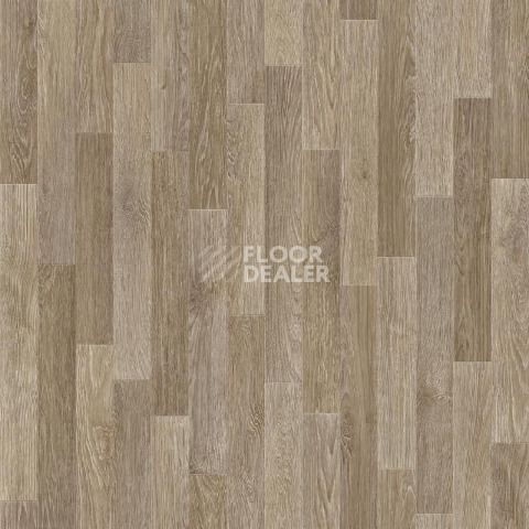 Линолеум Tarkett Sprint Pro ARNO 2 фото 1 | FLOORDEALER
